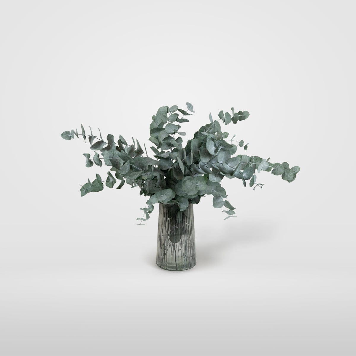 Mazzo di Eucalipto Verde