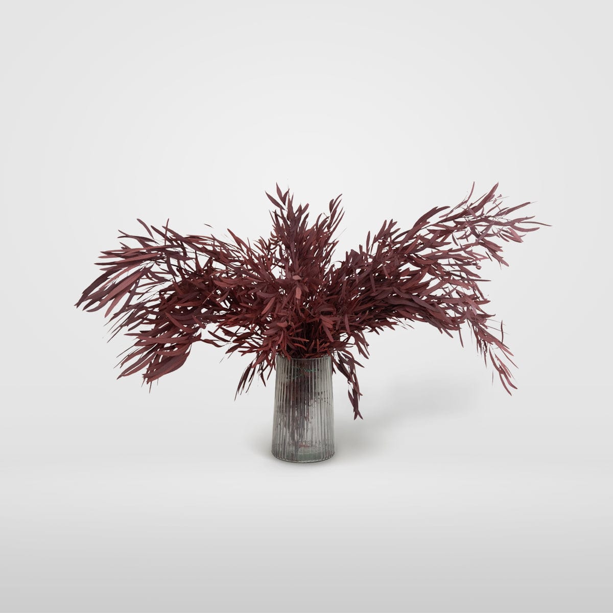 Ramo Eukalyptus Nicholli Granatrot