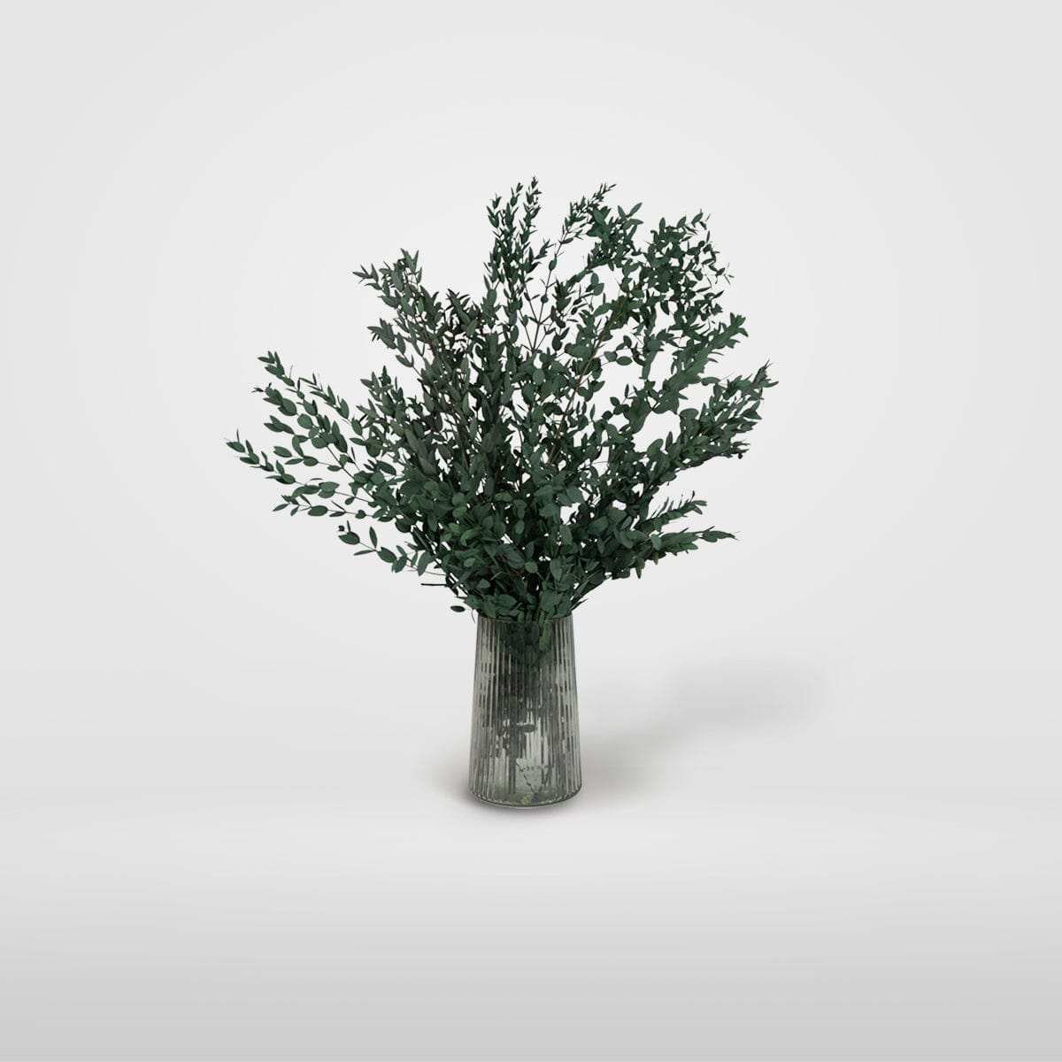 Ramo Parvifolia Grün