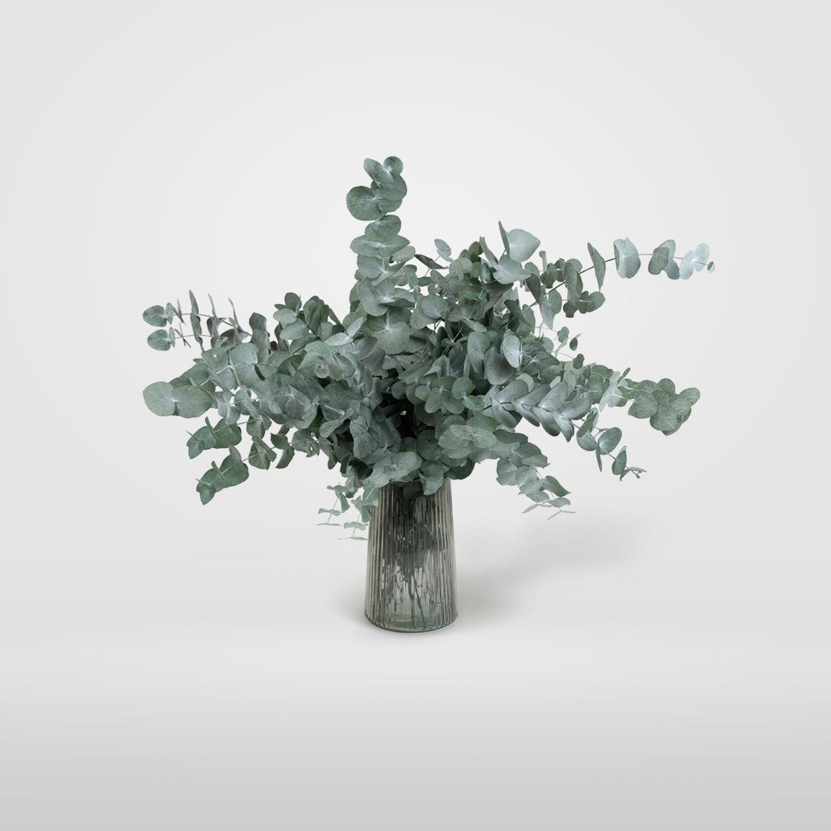 Mazzo di Eucalipto Verde