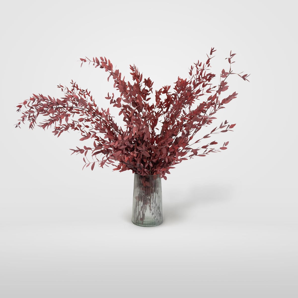 Parvifolia-Strauß Granatrot
