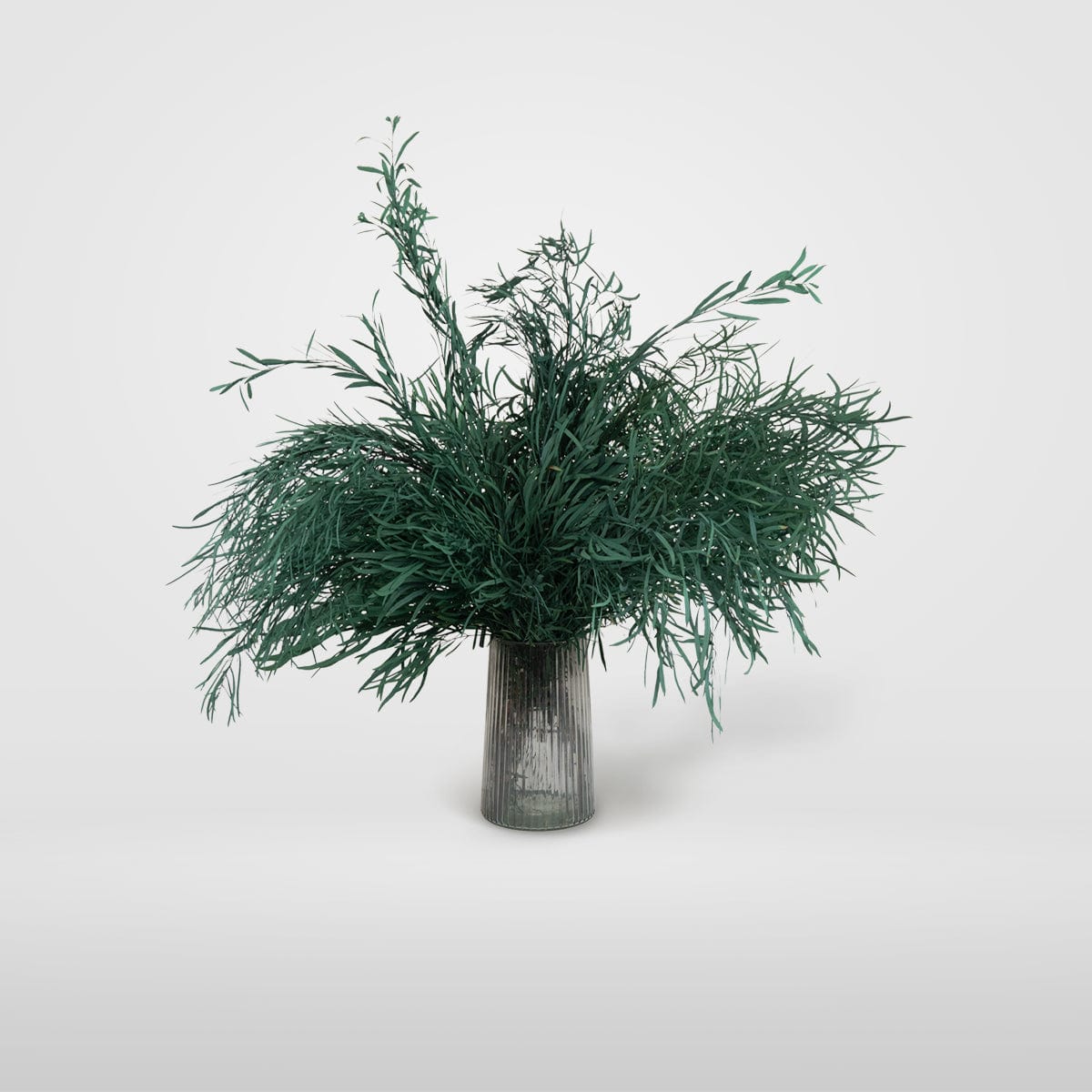 Ramo Eukalyptus Nicholli Granatrot