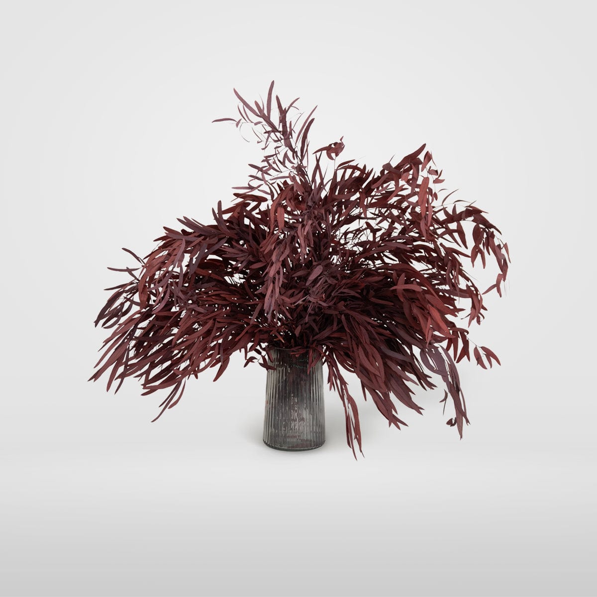 Bouquet d’Eucalyptus Nicholli Grenat