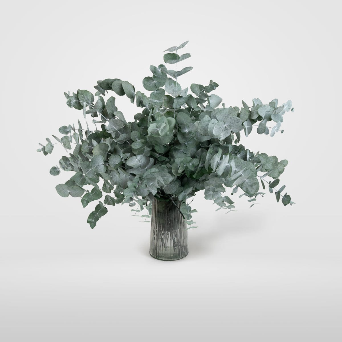 Mazzo di Eucalipto Verde