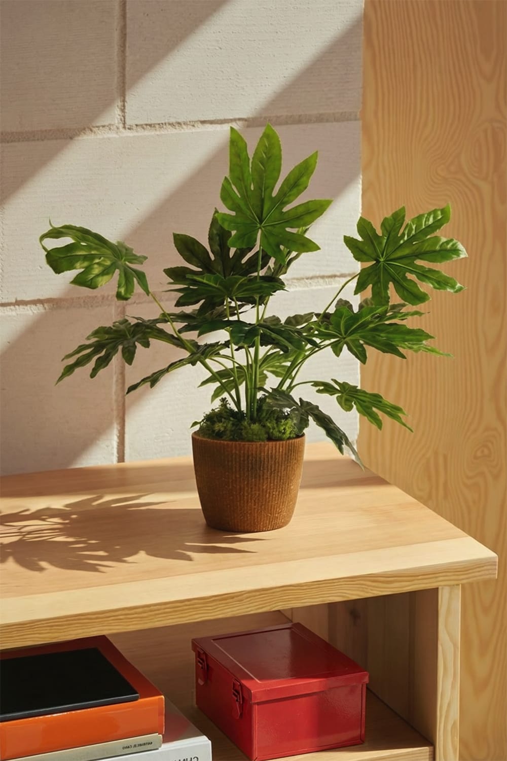 Kunstpflanze Aralia