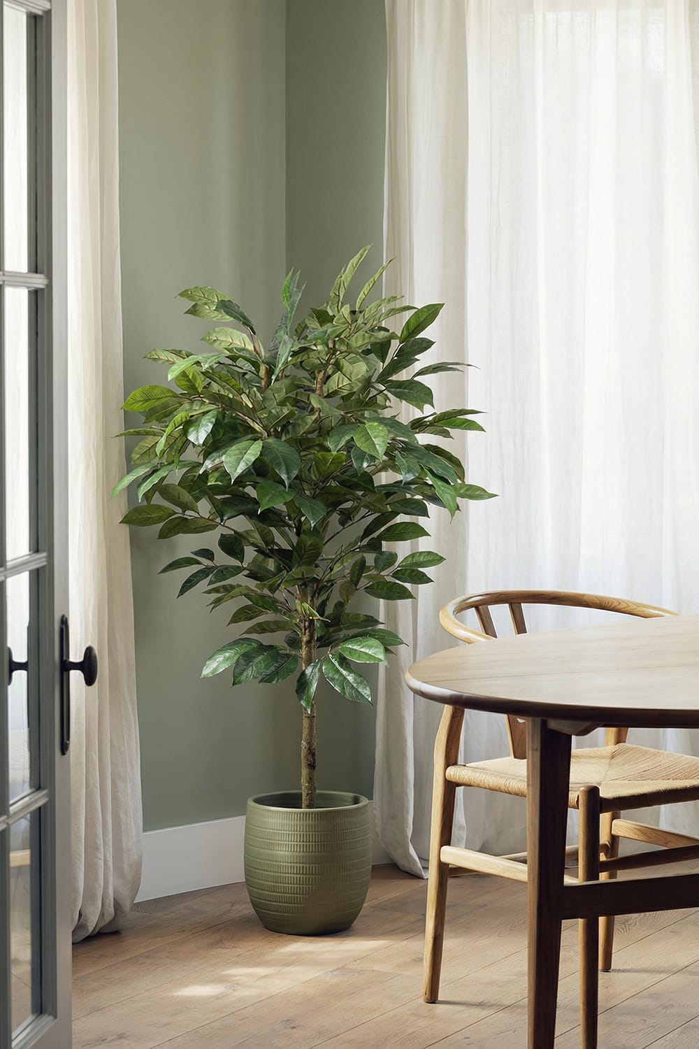 Albero del Caffè