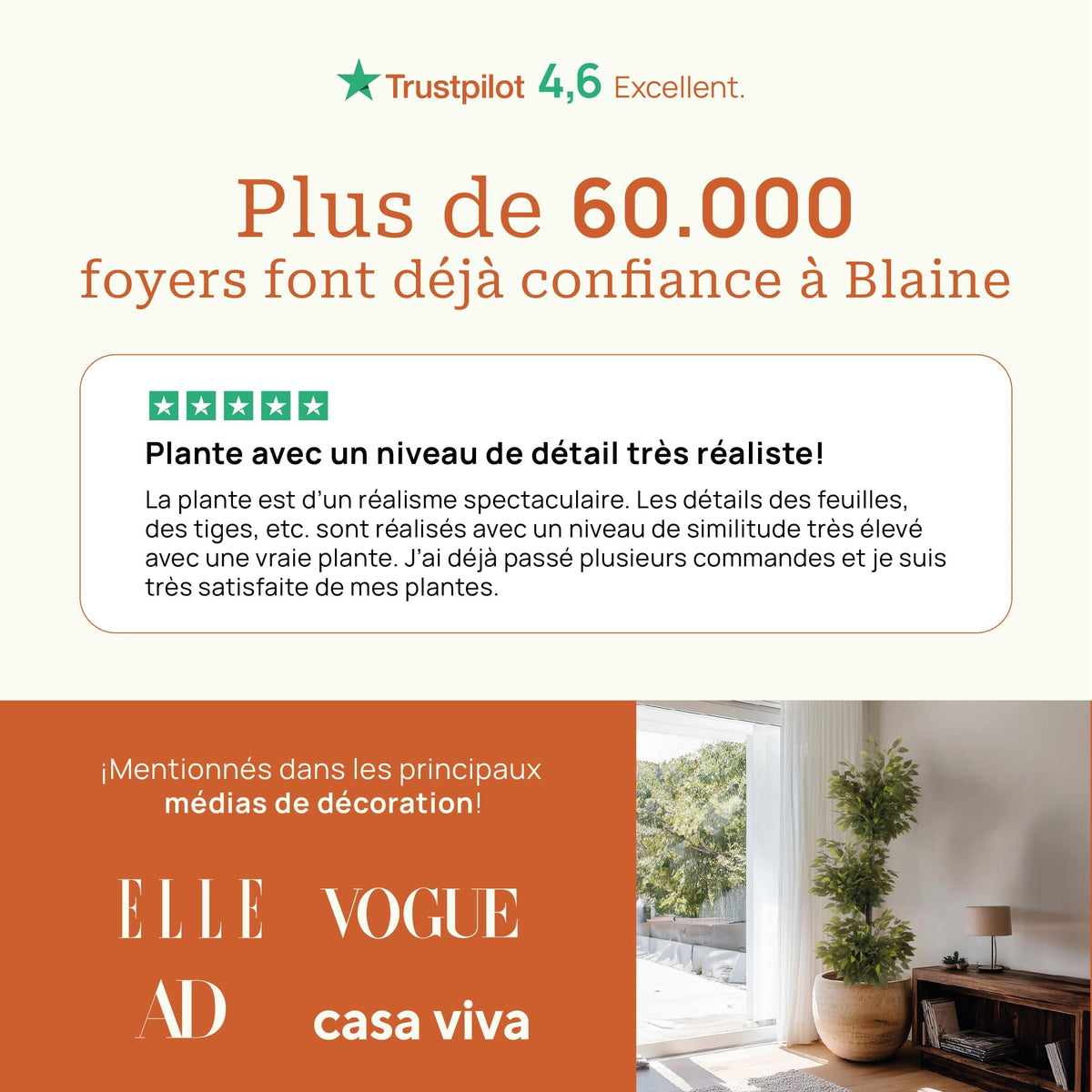 Monstera - extra 1