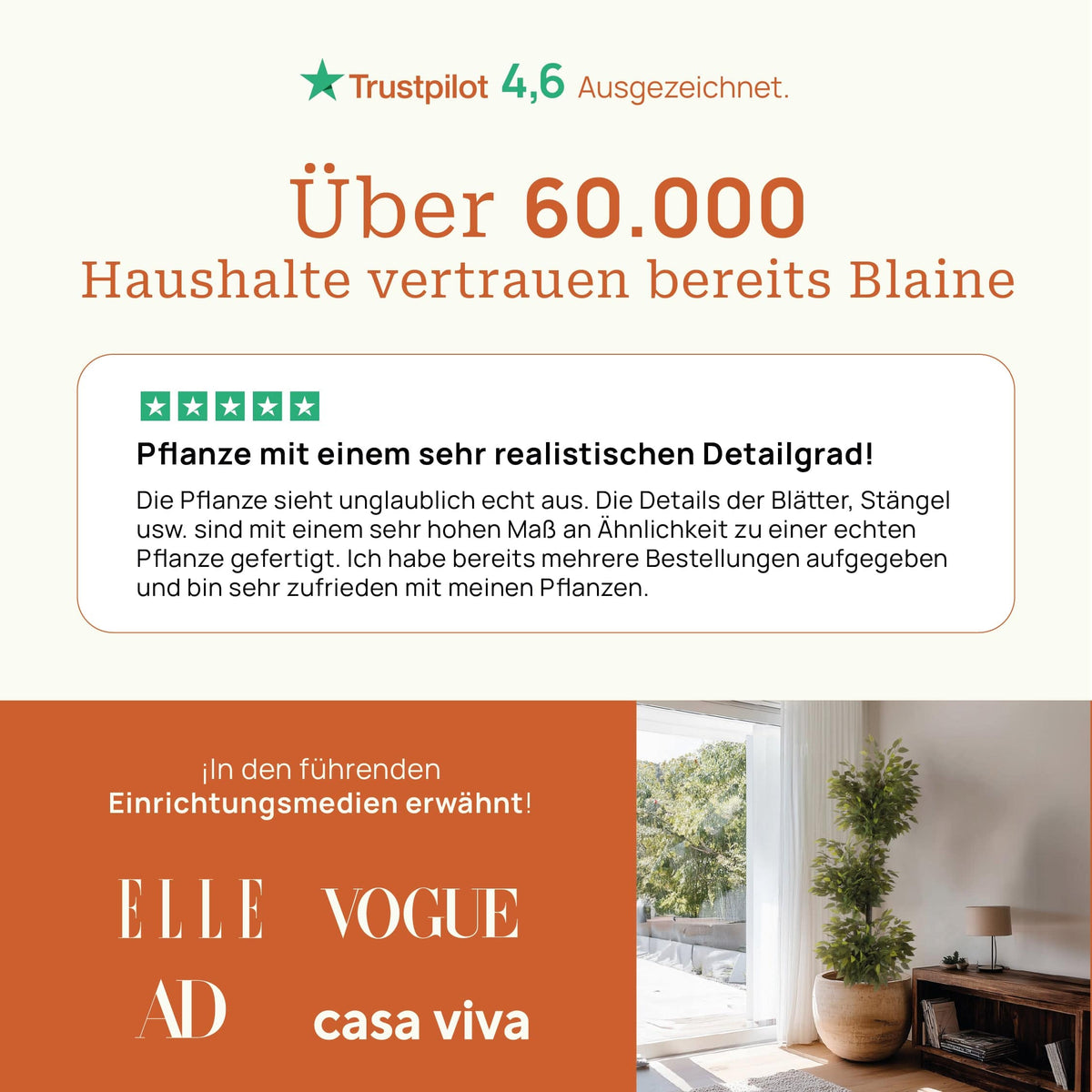 Exklusiv bei Monstera - extra 1