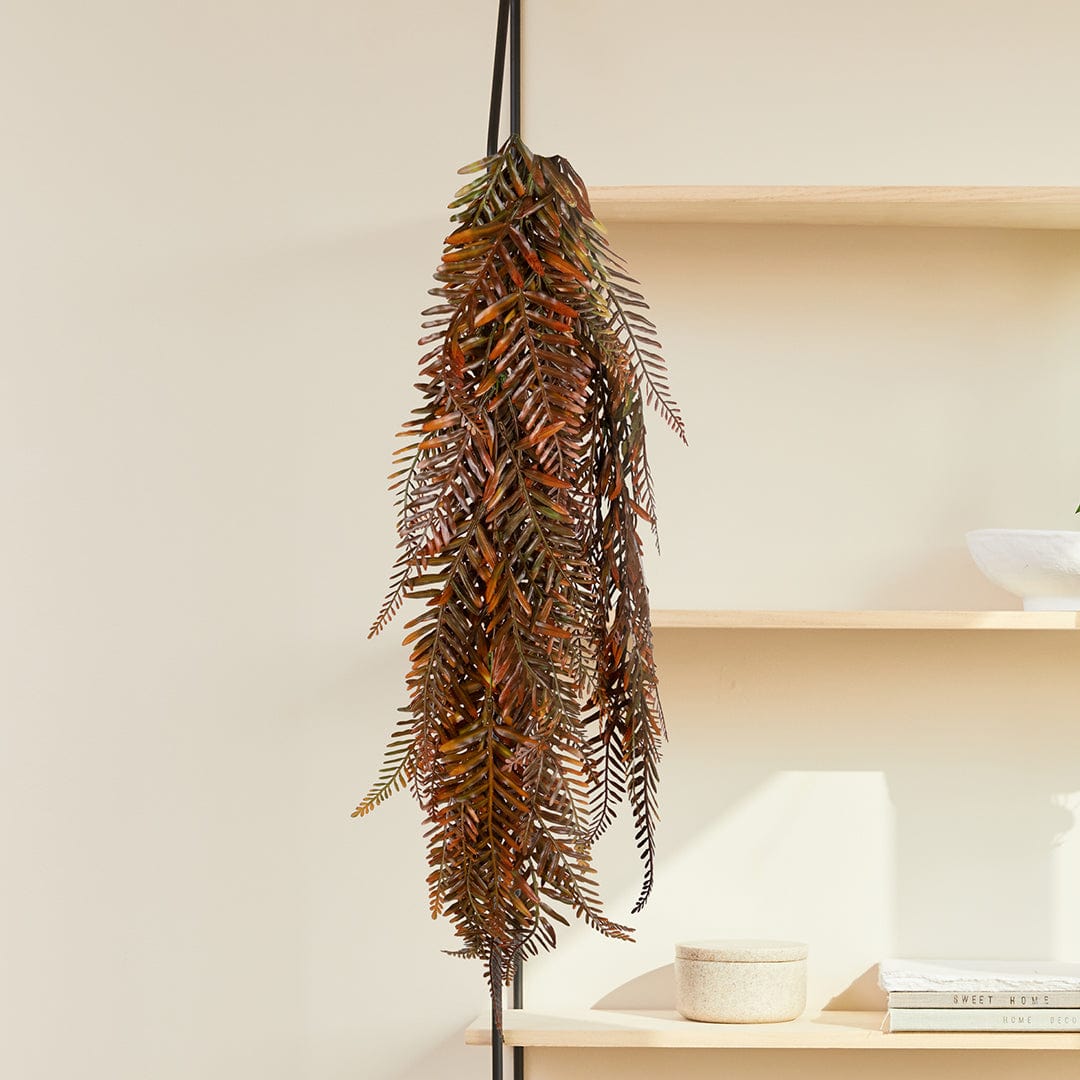Fougère Suspendue