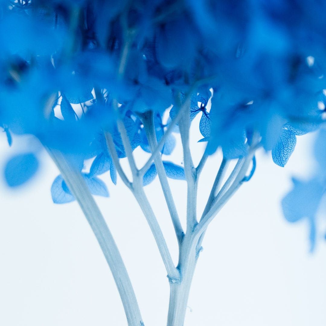 Blue Hydrangea Bouquet