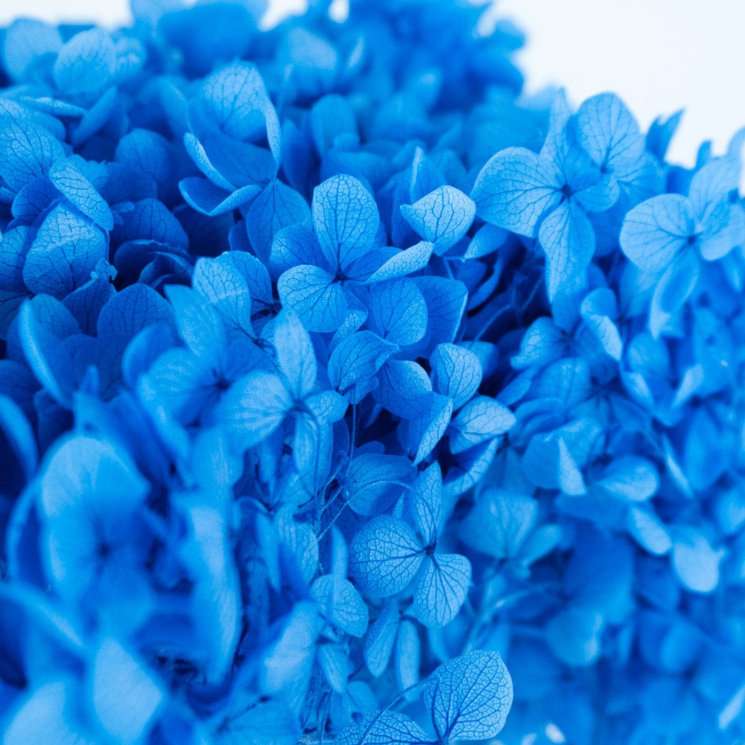 Blue Hydrangea Bouquet