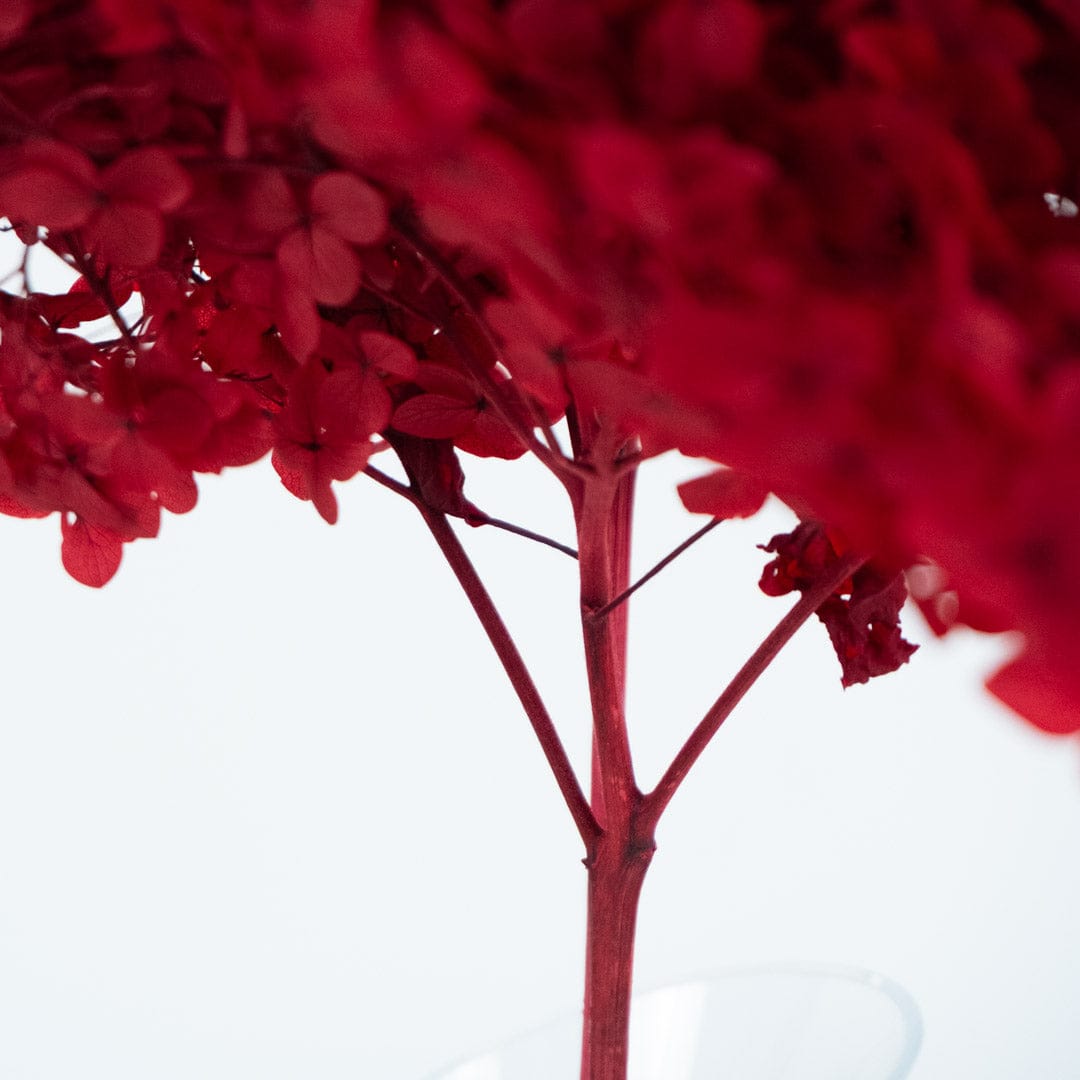Red Hydrangea Bouquet