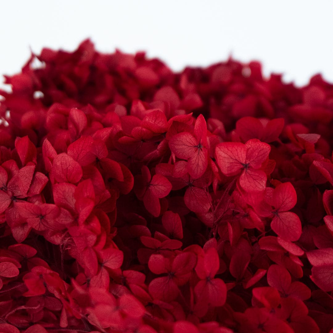Red Hydrangea Bouquet