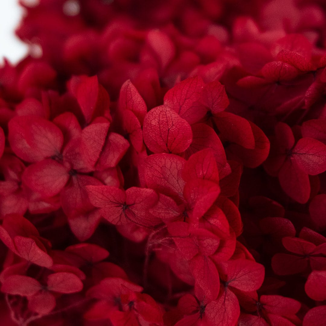 Red Hydrangea Bouquet