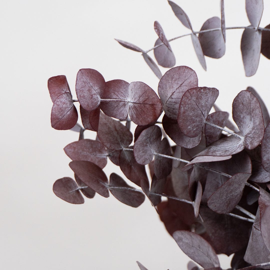 Mazzo di Eucalipto Granata