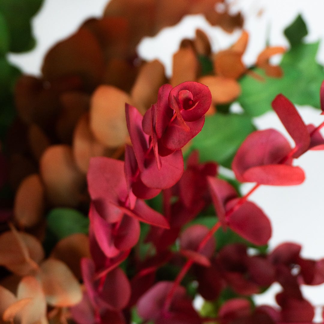 Ramo Eukalyptus Gemischt