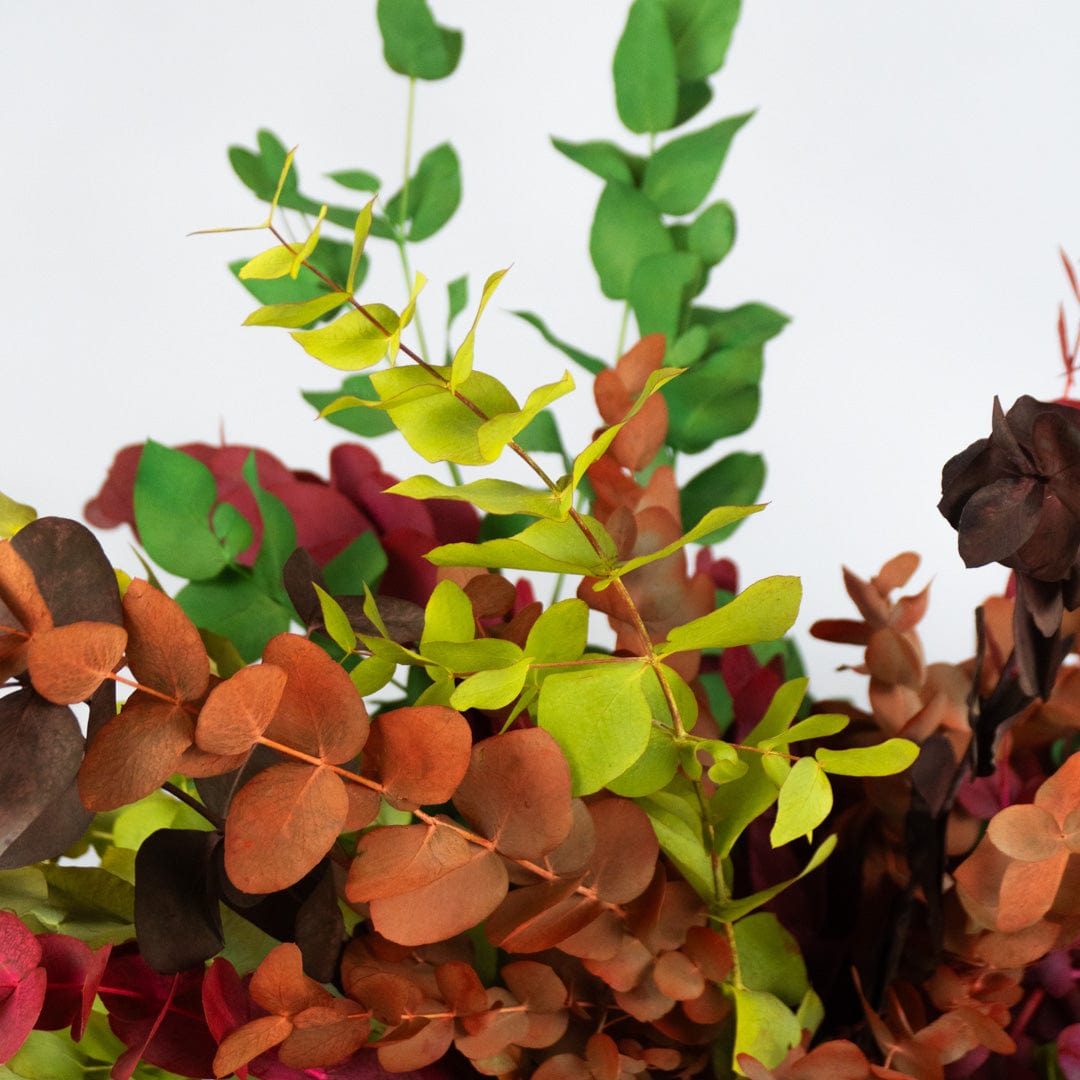 Ramo Eukalyptus Gemischt