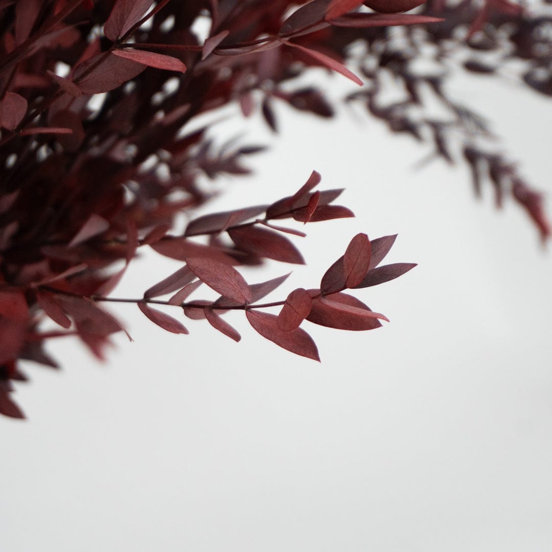 Bouquet de Parvifolia Grenat