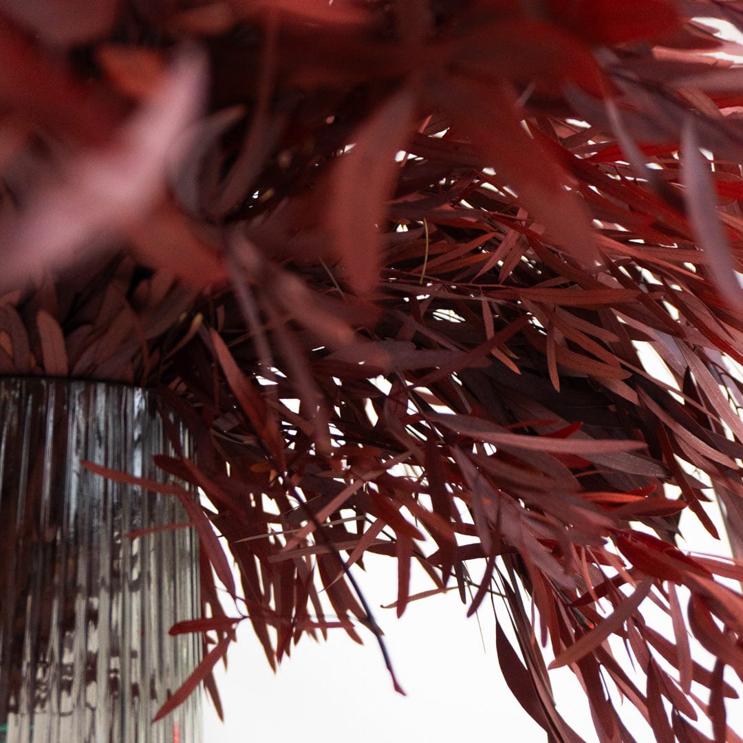 Bouquet d’Eucalyptus Nicholli Grenat