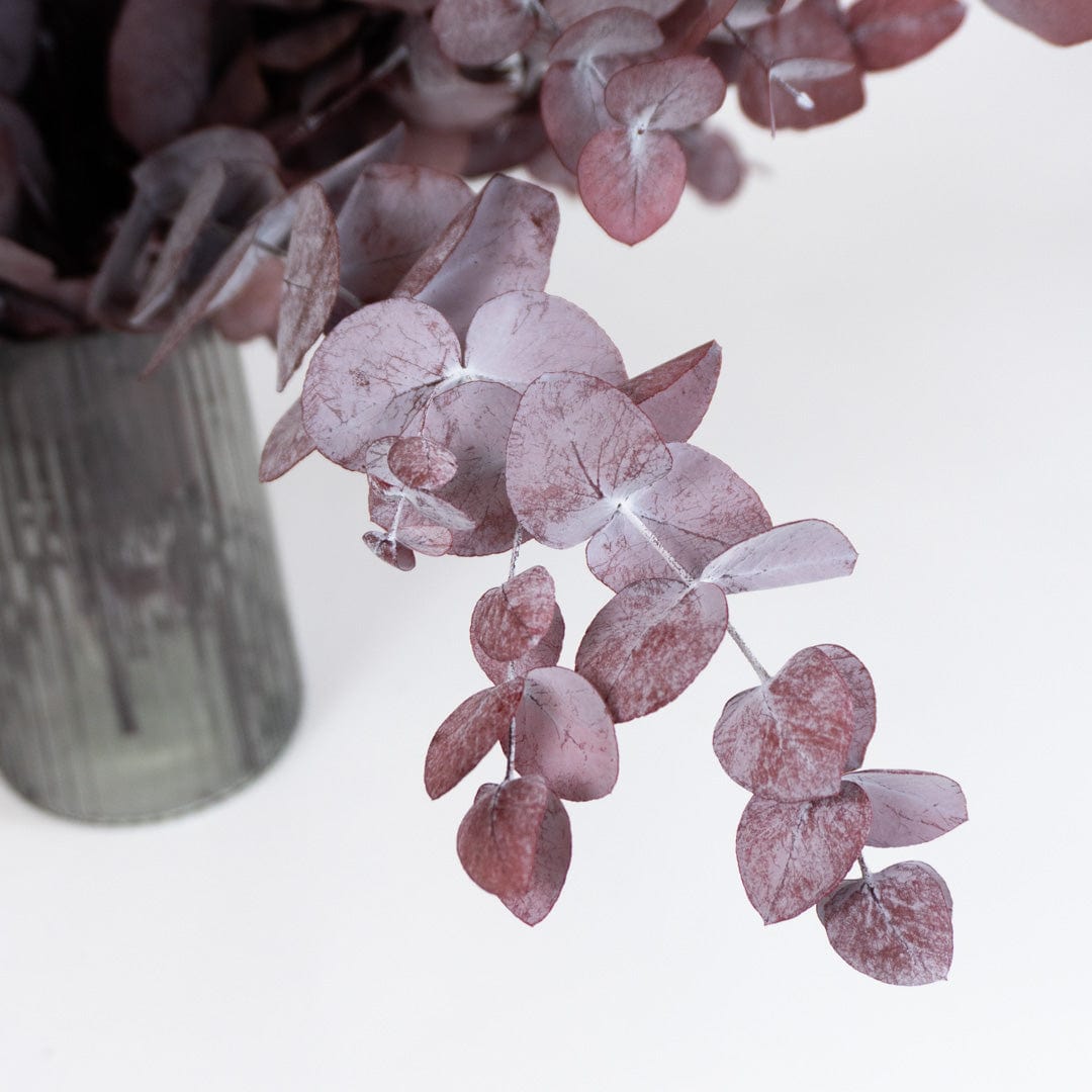 Mazzo di Eucalipto Granata