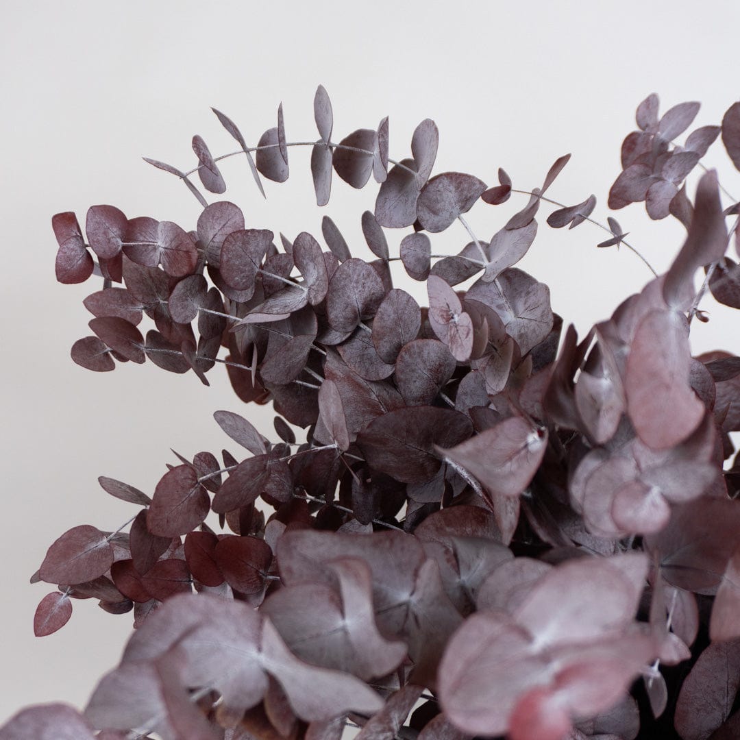 Mazzo di Eucalipto Granata