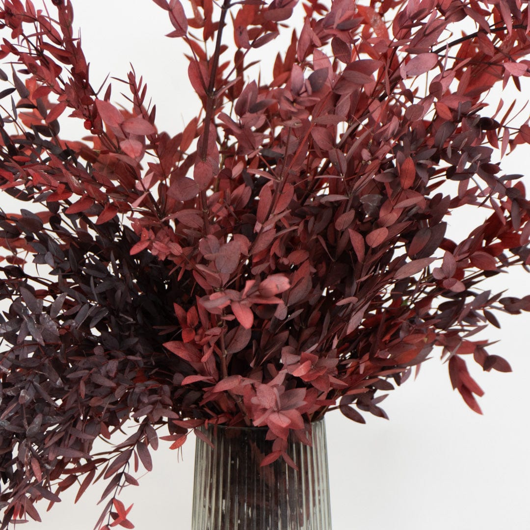 Parvifolia-Strauß Granatrot