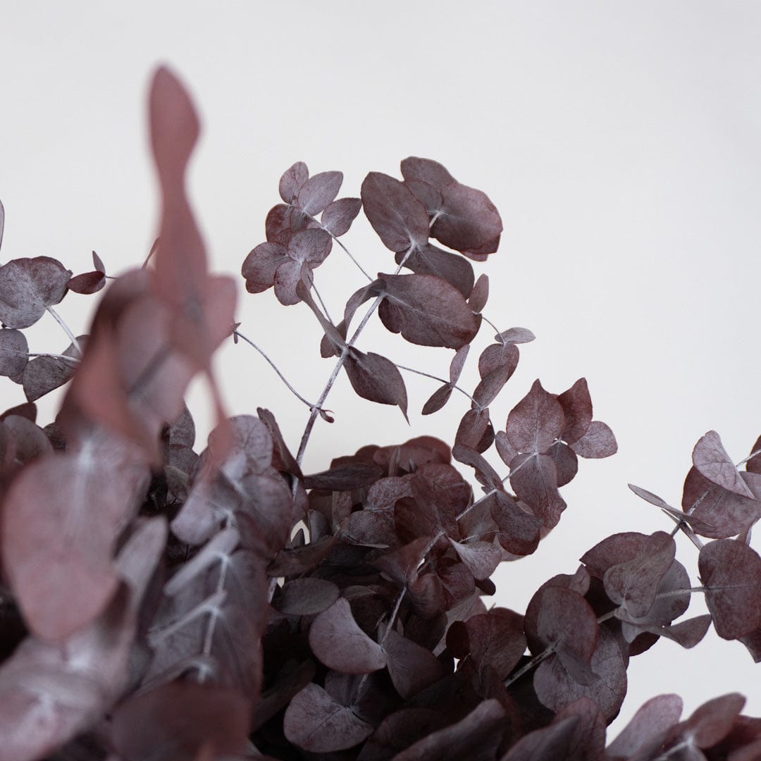 Granatfarbener Eukalyptusstrauß