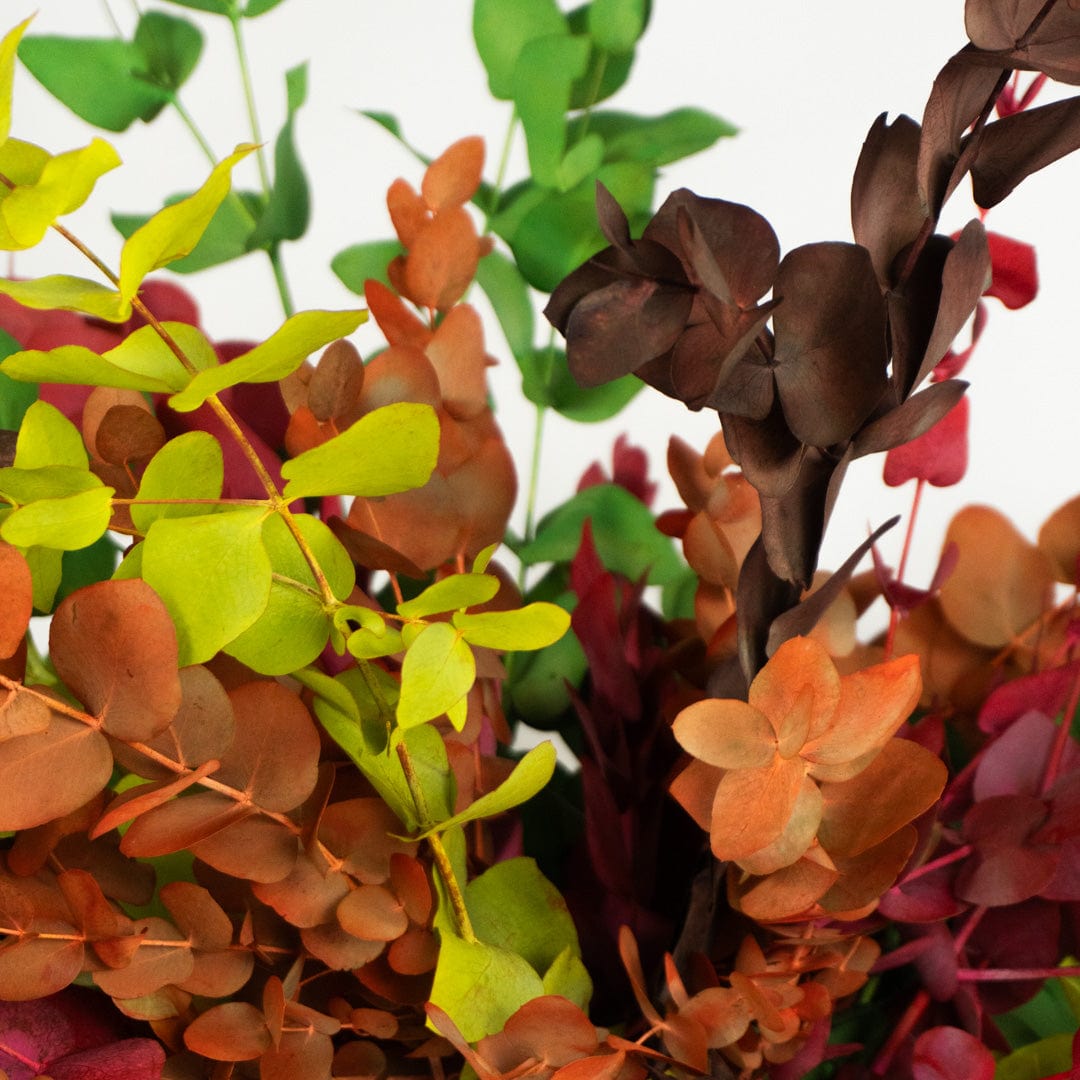 Ramo Eukalyptus Gemischt