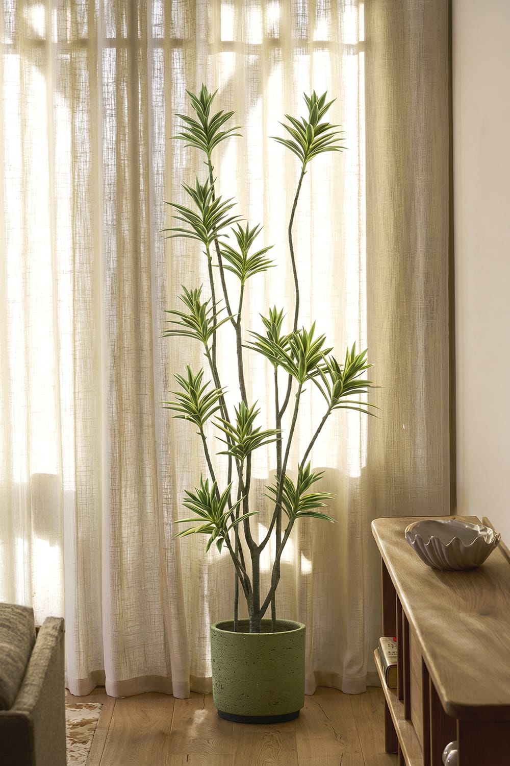 planta dracaena reflexa Dracaena Reflexa- Artificial Plant