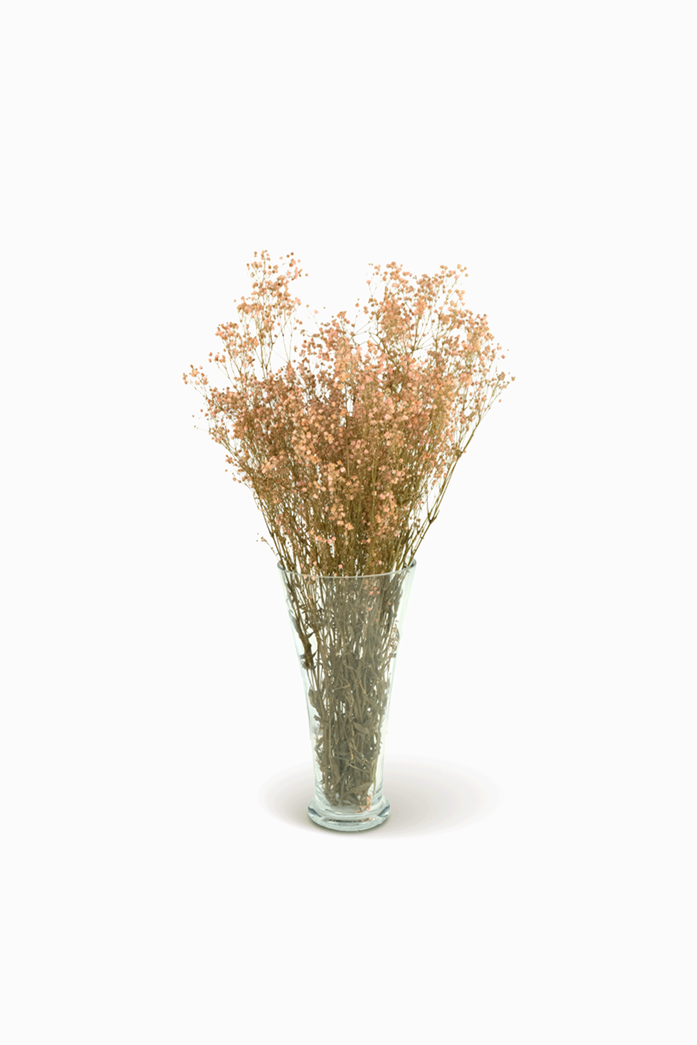 Mazzo di gypsophila rosa chiaro