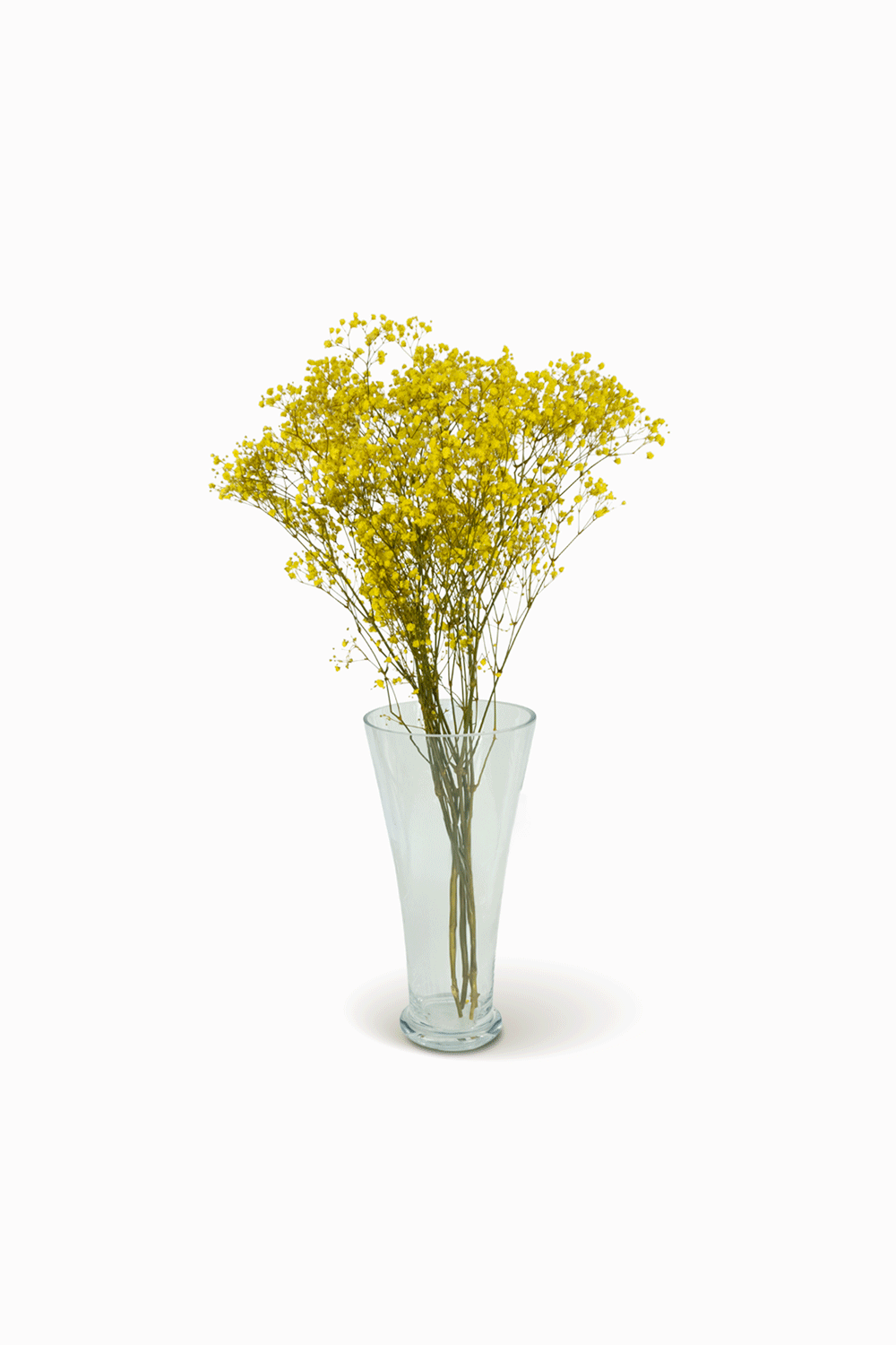 Mazzo di gypsophila gialla
