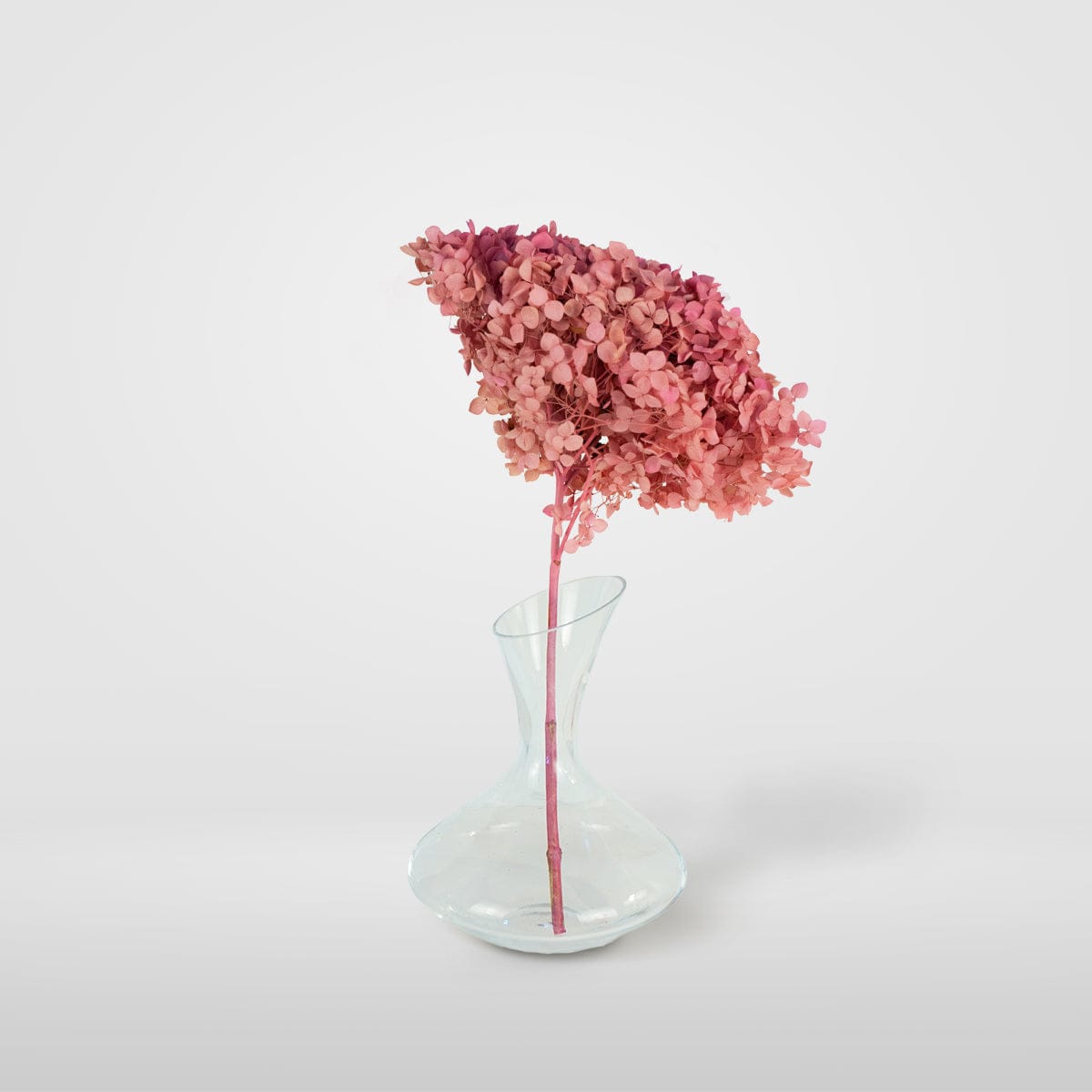Ramo Hortensia Rosa