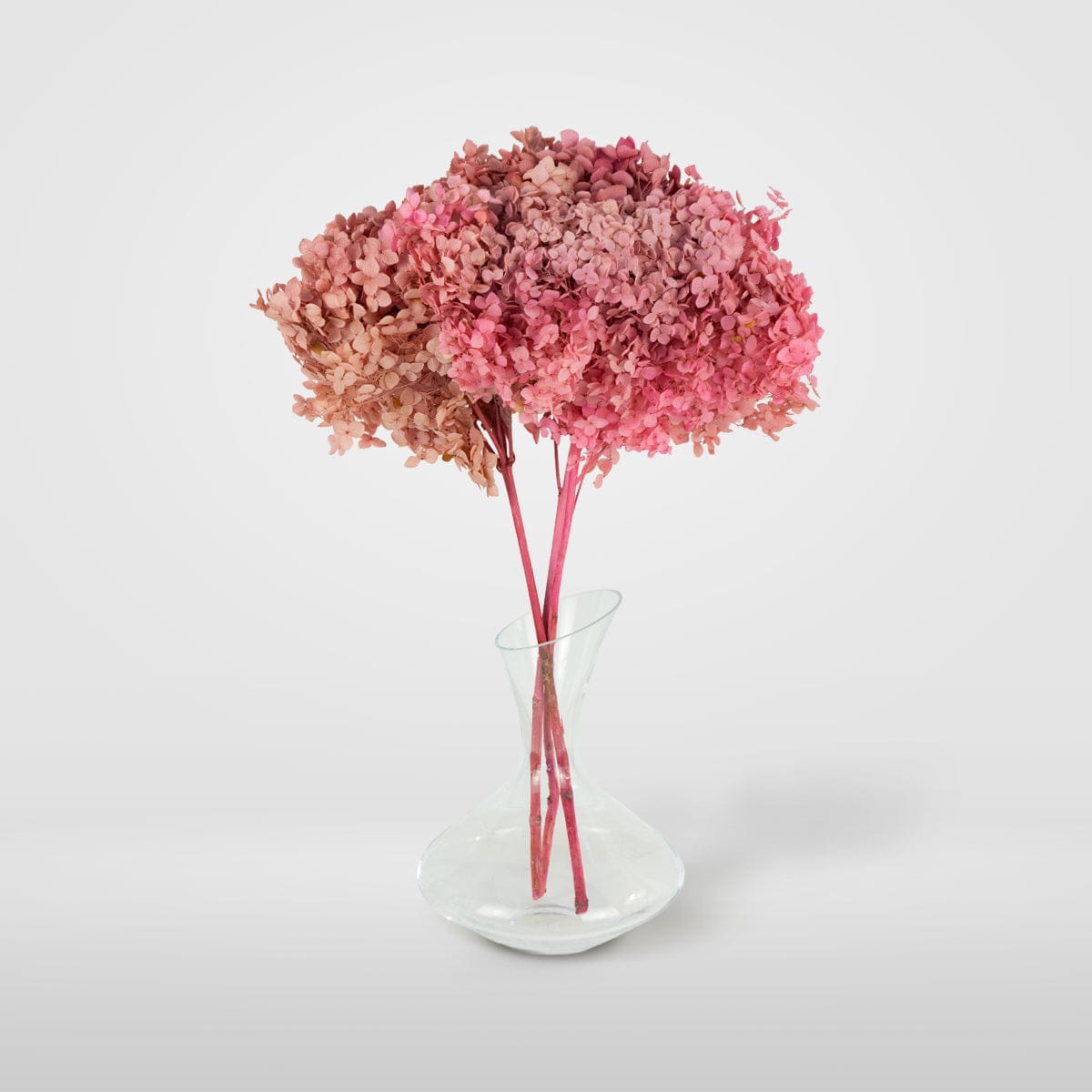 Rosa Hortensienstrauß