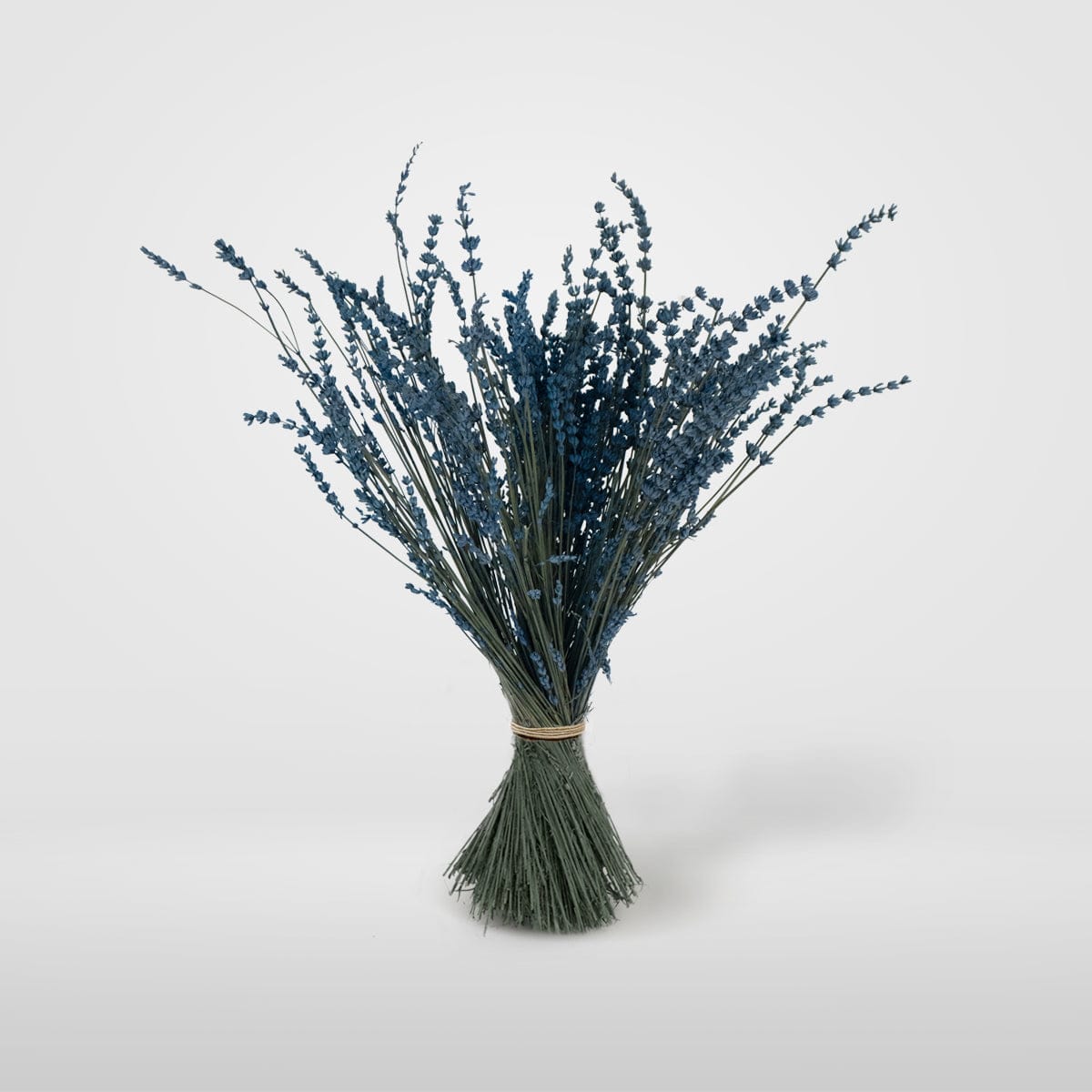 Ramo Lavanda Azul
