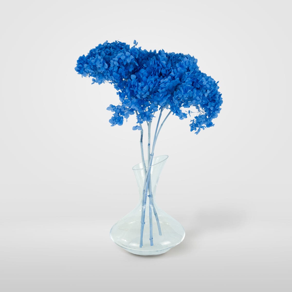 Blue Hydrangea Bouquet