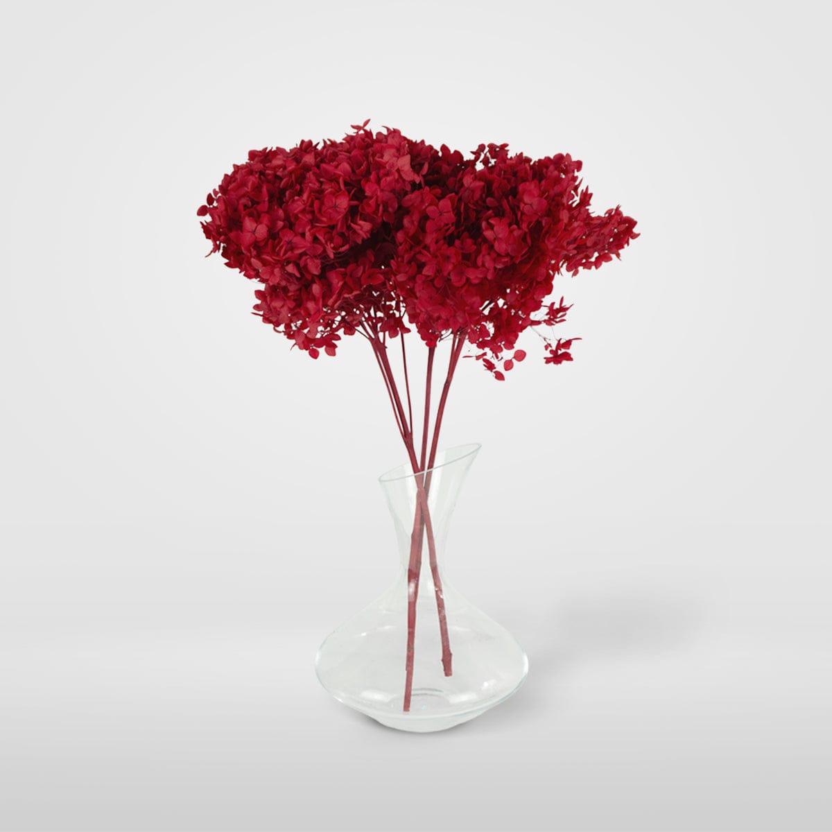 Red Hydrangea Bouquet
