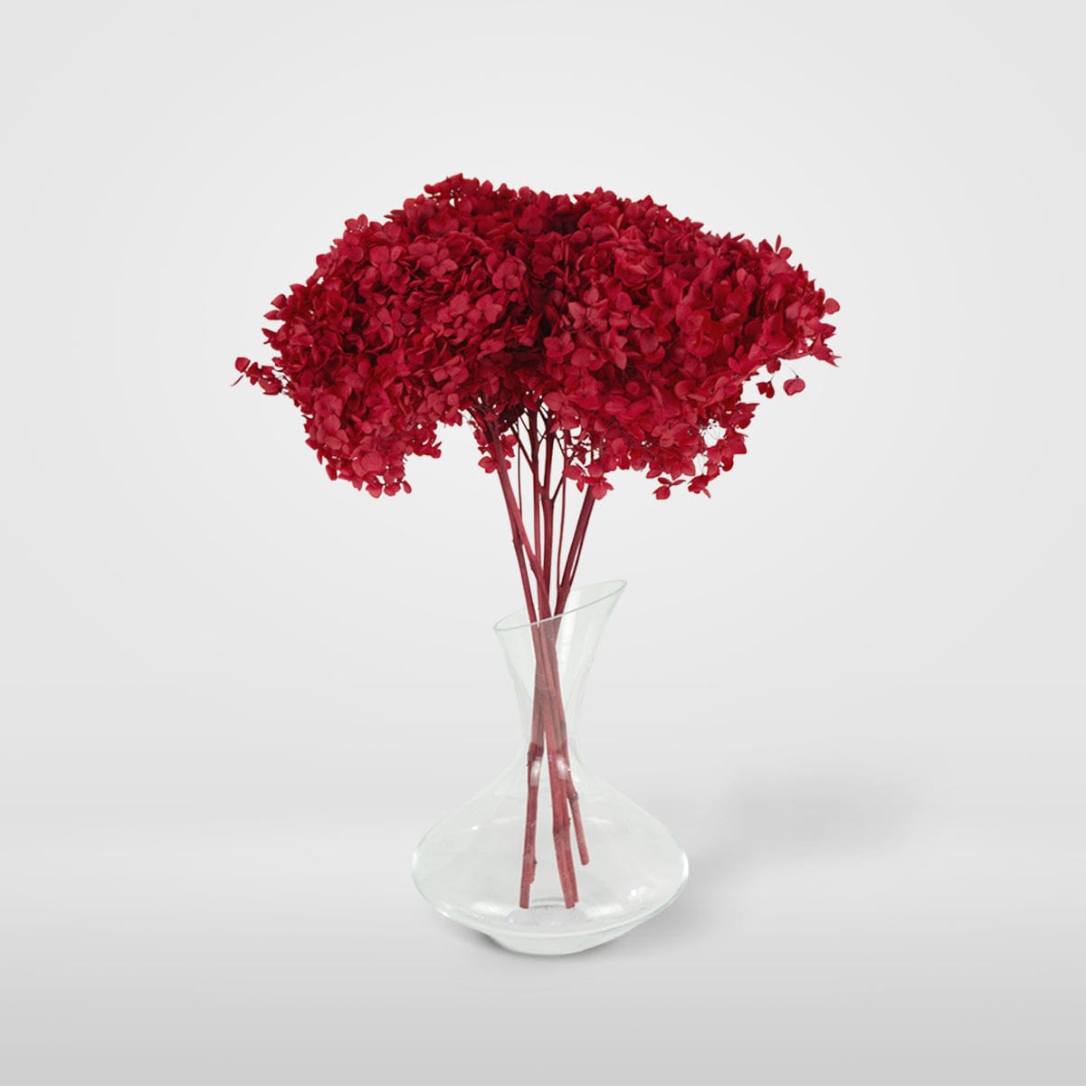 Red Hydrangea Bouquet