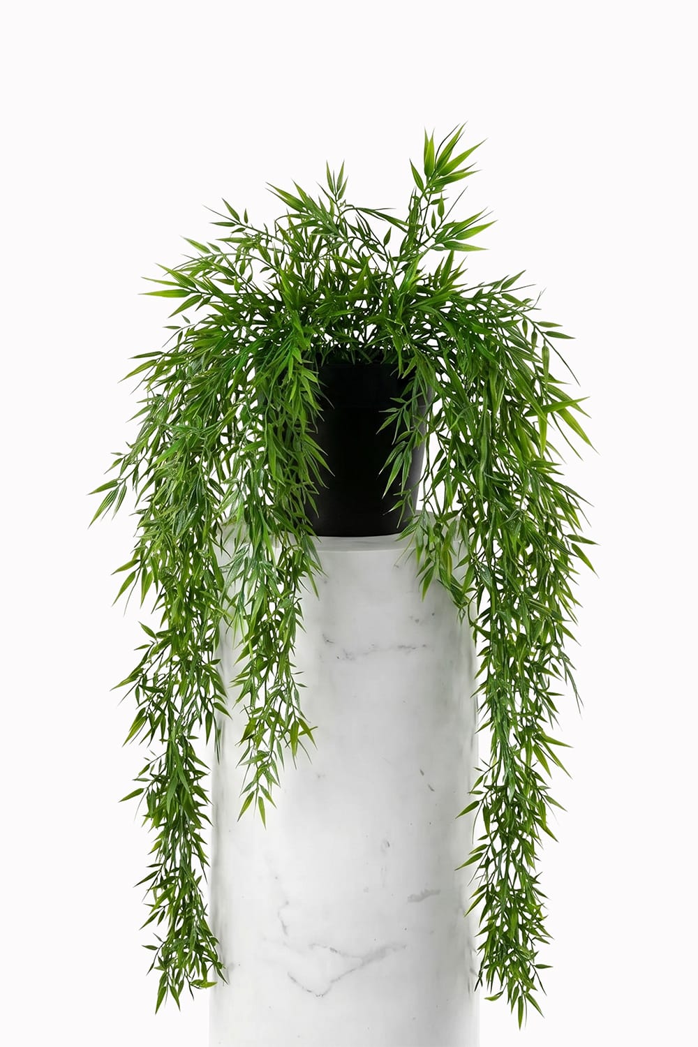 Hanging Bamboo