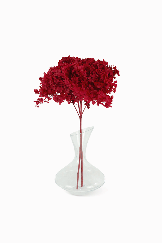 Mazzo di ortensia rosso