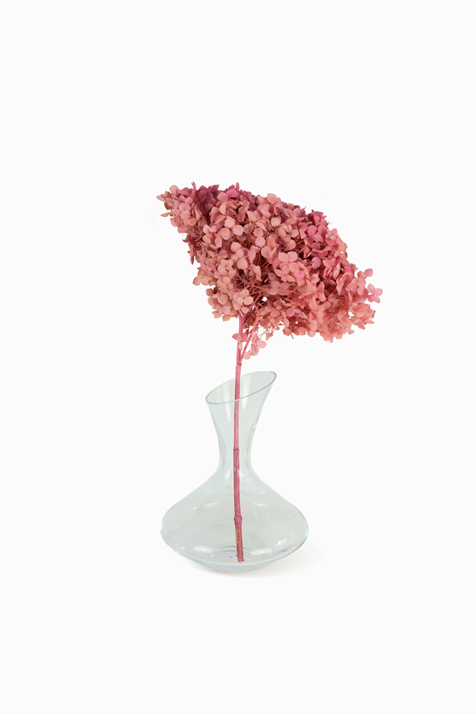 Mazzo di ortensia rosa