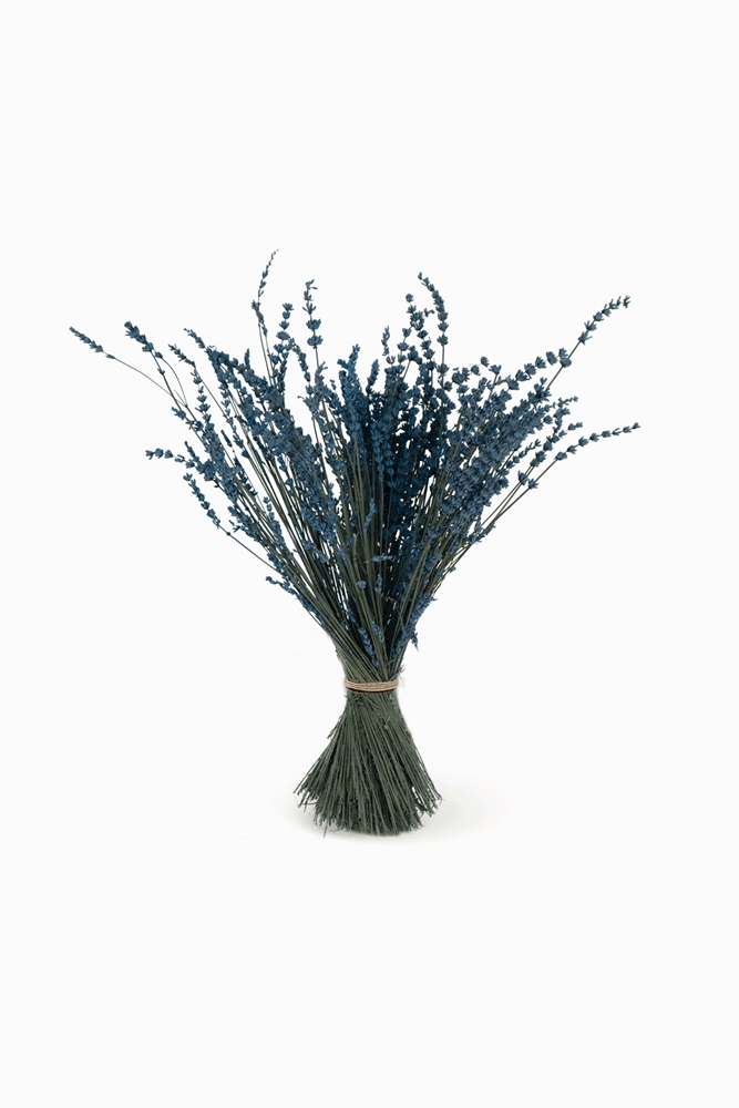 Mazzo di lavanda blu