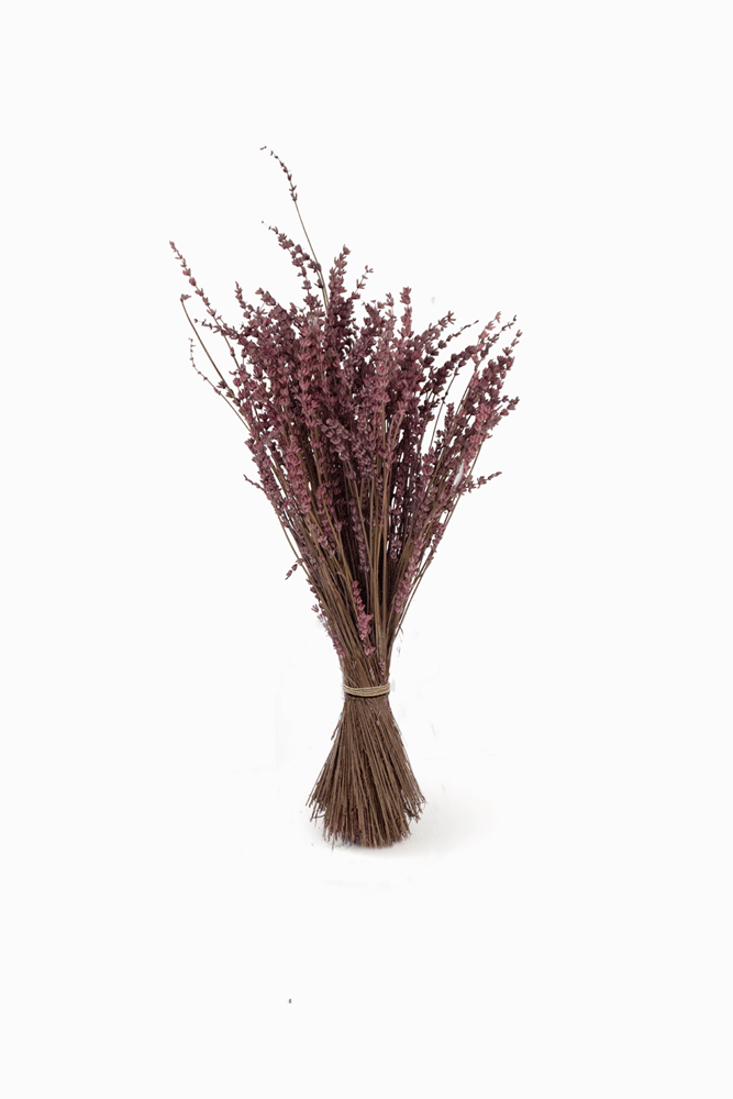 Mazzo di lavanda fucsia