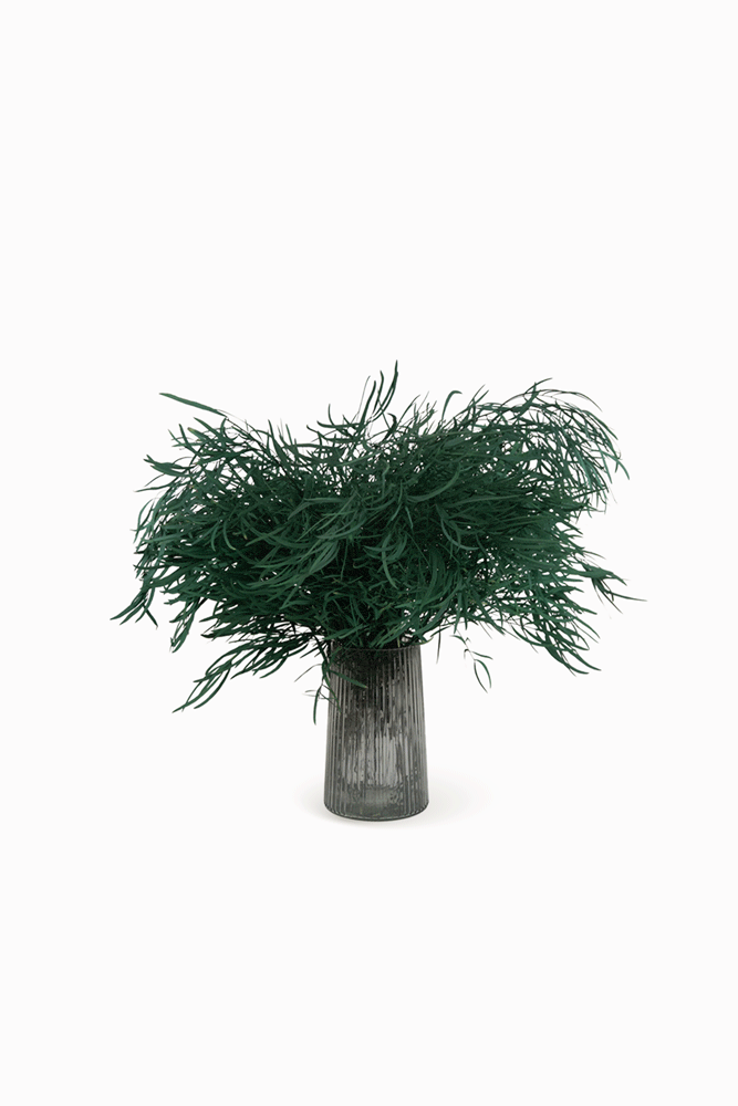 Bouquet d’Eucalyptus Nicholli Bleu