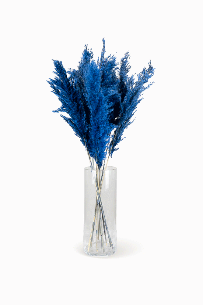 Bouquet de Pampa Bleu