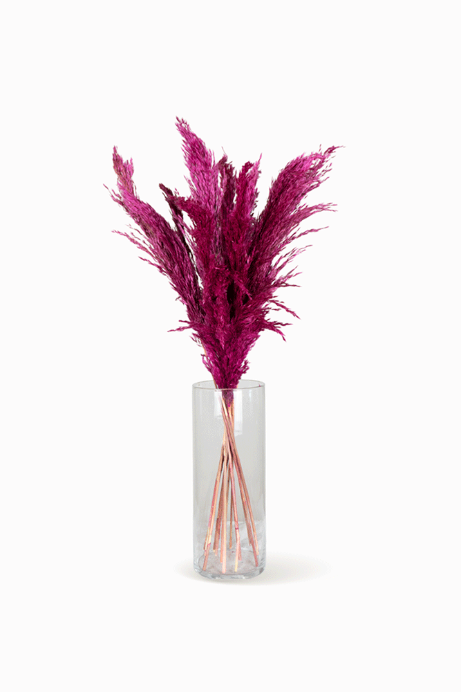 Bouquet de Pampa Fuchsia