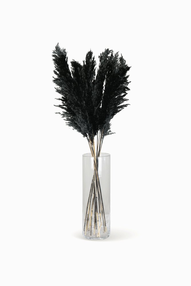 Bouquet de Pampa Noir