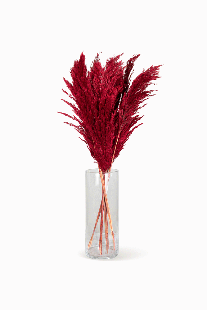 Bouquet de Pampa Rouge