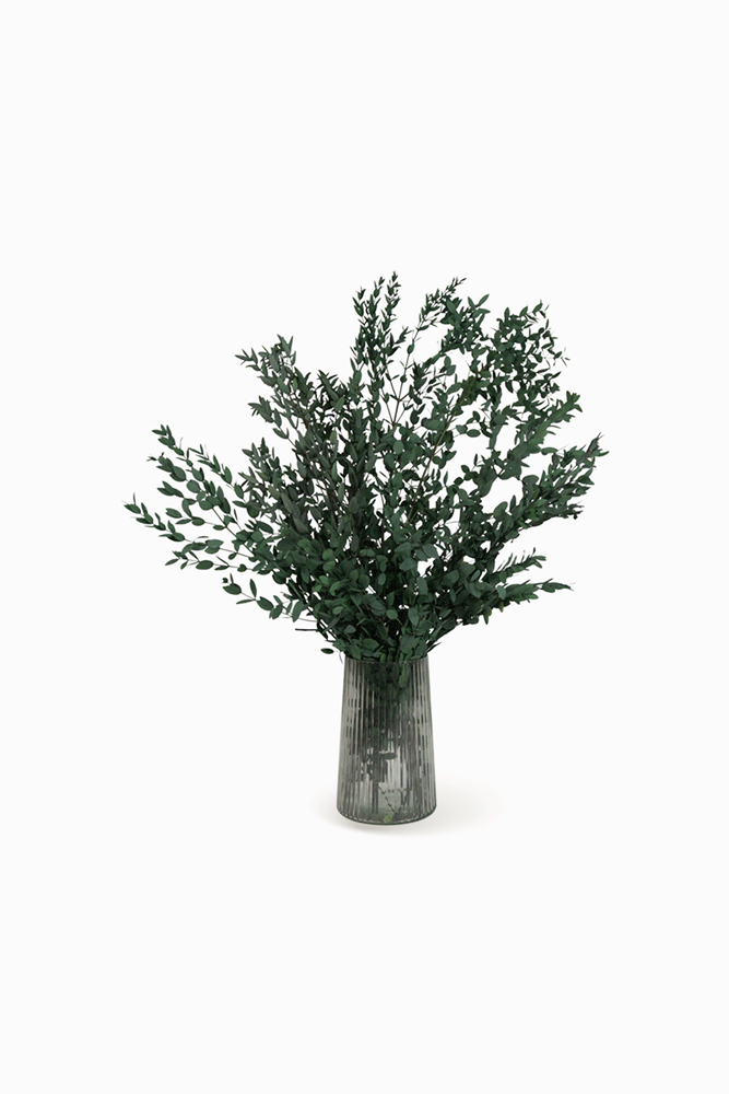Ramo di Parvifolia Verde