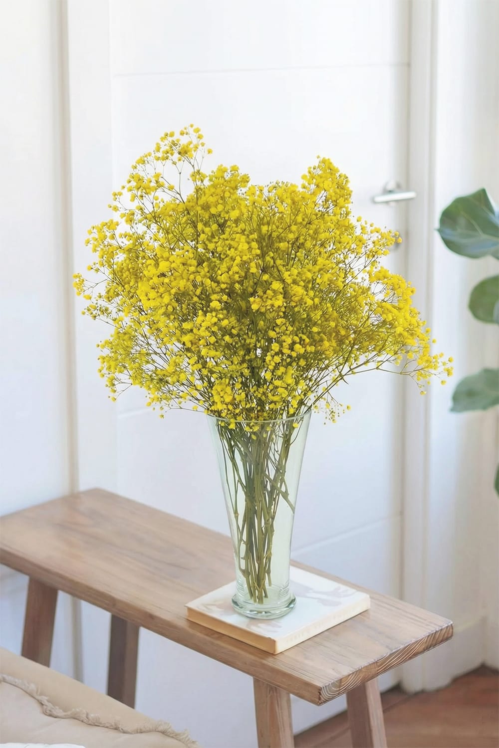 Mazzo di gypsophila gialla
