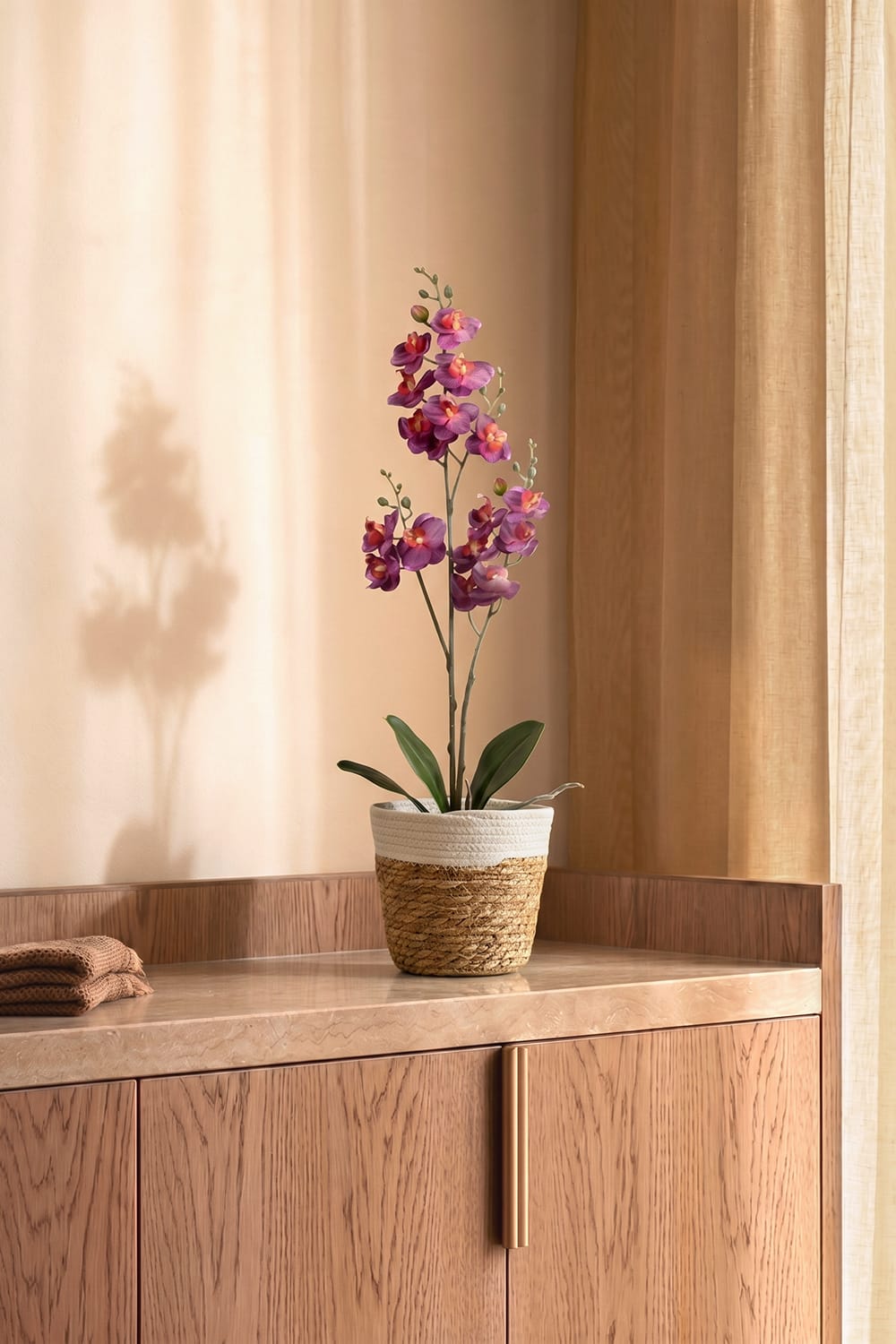 Orchidea Single Fucsia